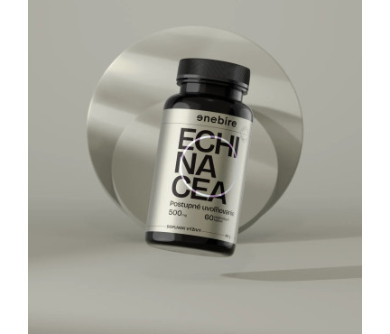 Echinacea | Podpora imunity a ochrana proti prechladnutiu