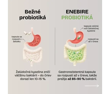 Symbiotiká | Probiotiká a prebiotiká v jednom | Enebire