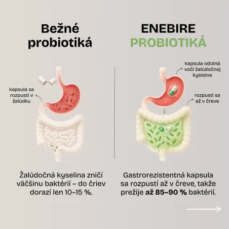 Symbiotiká | Probiotiká a prebiotiká v jednom | Enebire
