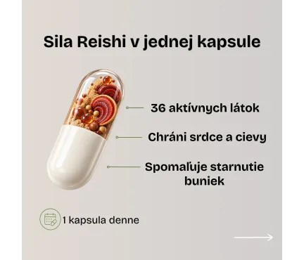 Reishi huba | Ganoderma lucidum účinky | Najlepšia reishi | Enebire