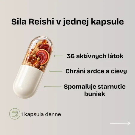 Reishi huba | Ganoderma lucidum účinky | Najlepšia reishi | Enebire