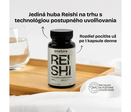 Reishi huba | Ganoderma lucidum účinky | Najlepšia reishi | Enebire