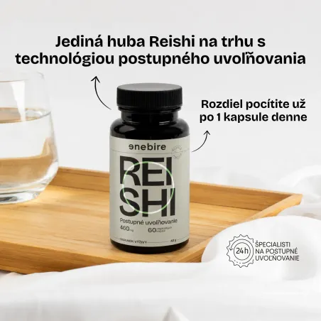 Reishi huba | Ganoderma lucidum účinky | Najlepšia reishi | Enebire