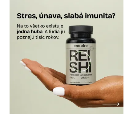 Reishi huba | Ganoderma lucidum účinky | Najlepšia reishi | Enebire