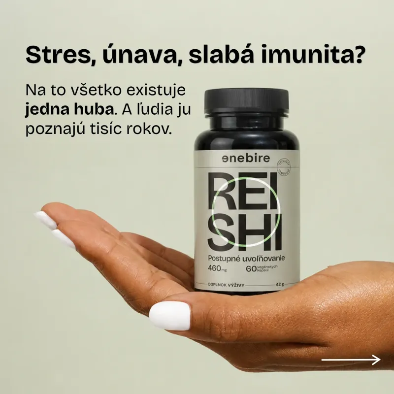 Reishi huba | Ganoderma lucidum účinky | Najlepšia reishi | Enebire