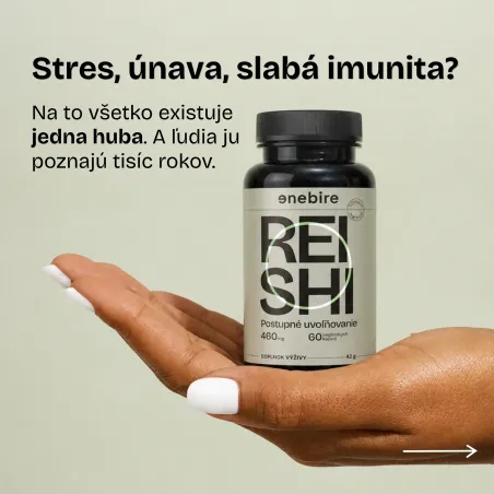 Reishi huba | Ganoderma lucidum účinky | Najlepšia reishi | Enebire
