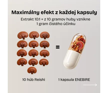 Reishi huba | Ganoderma lucidum účinky | Najlepšia reishi | Enebire