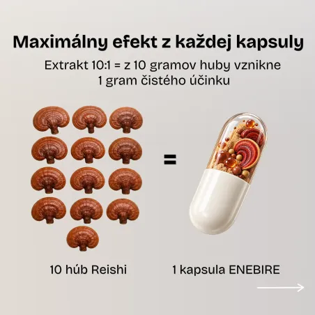 Reishi huba | Ganoderma lucidum účinky | Najlepšia reishi | Enebire